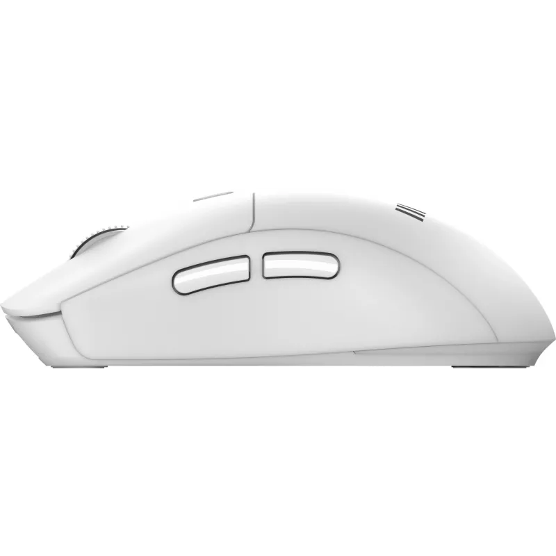MSI FORGE K210 W COMBO WHITE US Teclado y ratón incluidos Home/Office USB QWERTY US English