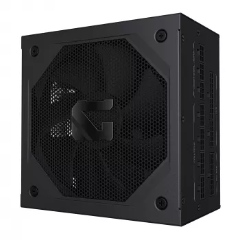 Fuente de alimentación GIGABYTE GAMING 750GM PG5 - PCIe 5.1, 80 PLUS Gold, diseño totalmente modular, ventilador de 135 mm, compatible con ATX 3.1, enchufe EU