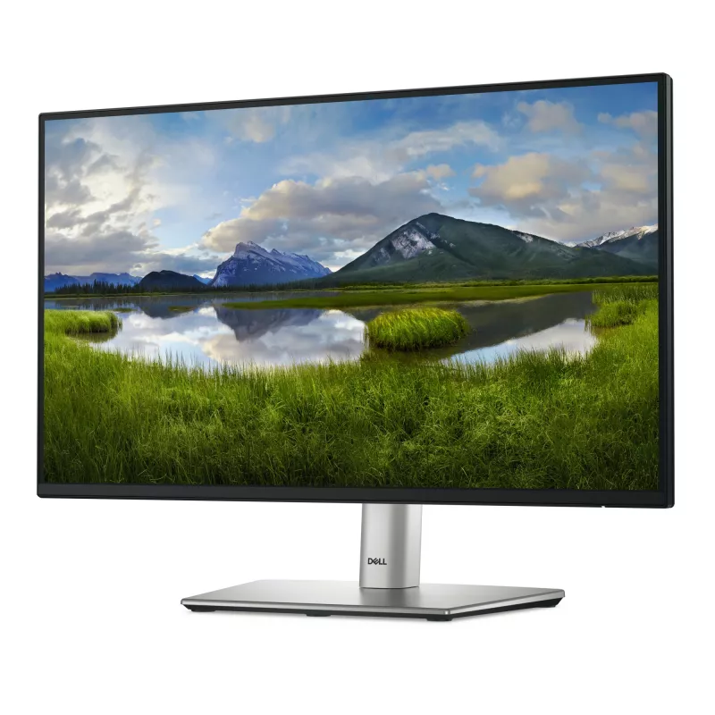 Monitor de ordenador DELL P Series P2225H 54,6 cm (21,5