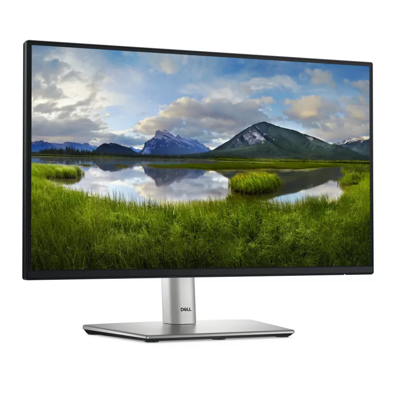 Monitor de ordenador DELL P Series P2225H 54,6 cm (21,5