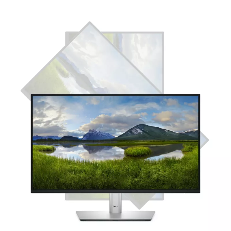 Monitor de ordenador DELL P Series P2225H 54,6 cm (21,5