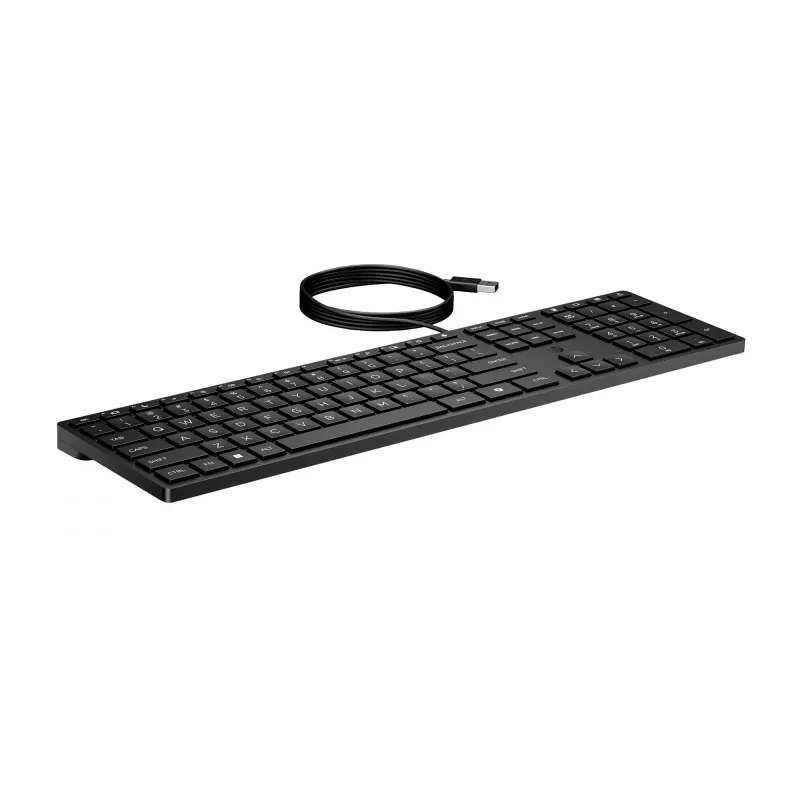 Teclado HP Wired Desktop 320K tamaño completo USB membrana Negro