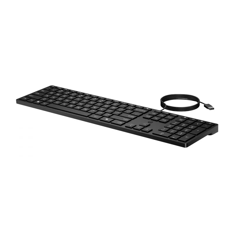 Teclado HP Wired Desktop 320K tamaño completo USB membrana Negro