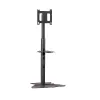 Chief PF1UB soporte de monitor / pie 190,5 cm (75