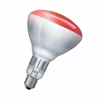Lámpara infrarroja Philips 923212043801 250 W 5000 h 230-250 V