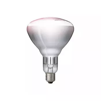 Lámpara infrarroja Philips 57522725 150 W 5000 h 230-250 V