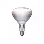 Lámpara infrarroja Philips 57522725 150 W 5000 h 230-250 V