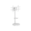 Soporte de suelo con bandeja para ruedas TECHLY para TV LCD/LED/Plasma 37-86