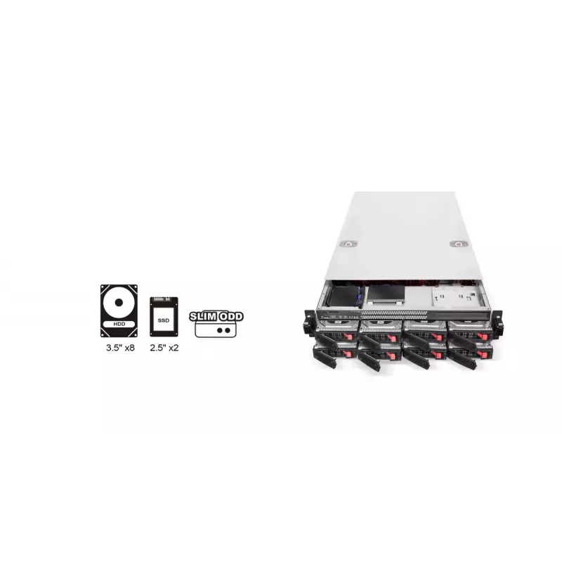 Carcasa HDD Silverstone RM22-308 2,5/3,5 pulgadas 10 unidades Negro Blanco
