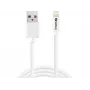 SANDBERG 440-94 Cable SANDBERG USB>Lightning 2M homologado por Apple