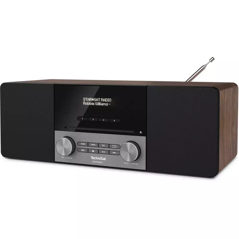 Radio portátil TechniSat DigitalRadio 3 analógica y digital DAB+ FM