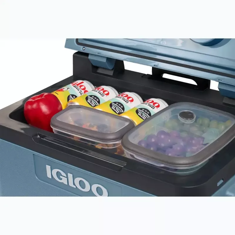 Nevera termoeléctrica IGLOO IE42 – 42 qt portátil DC/AC