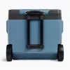 Nevera termoeléctrica IGLOO IE42 – 42 qt portátil DC/AC