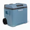 Nevera termoeléctrica IGLOO IE42 – 42 qt portátil DC/AC
