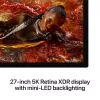 Monitor Apple Studio Display XDR 27 pulgadas 5K Ultra HD LED, cristal estándar, pie reclinable y ajustable en altura, plata