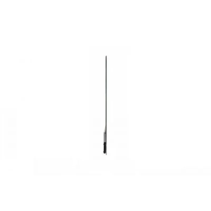 Pantalla plana de señalización digital LG 30EW5TP-A 30