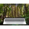 HP OmniBook 5 16-bc1002na AMD Ryzen™ 5 8540U Portátil 40,6 cm (16 pulgadas) pantalla táctil 2K 8 GB LPDDR5-SDRAM 512 GB SSD Wi-Fi 6 (802.11ax) Windows 11 Home plateado (reacondicionado)
