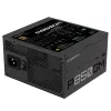 GIGABYTE P850GM fuente de alimentación 850 W 20+4 Pin ATX ATX negra
