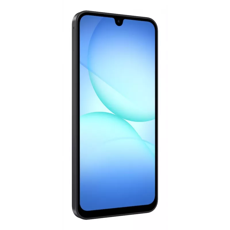 Samsung Galaxy A17 SAM-F-SM-A175FZCOP 17 cm (6.7 inch) Hybrid Dual SIM Android 15 4G USB Type-C 4 GB 128 GB 5000 mAh Negro