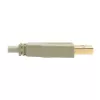 Cable USB 2.0 A a B Tripp Lite U022-006-BE 1,8 m beige
