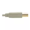Cable USB 2.0 A a B Tripp Lite U022-006-BE 1,8 m beige