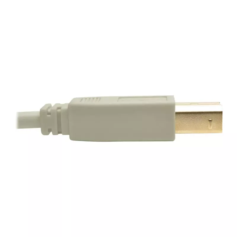 Cable USB 2.0 A a B Tripp Lite U022-006-BE 1,8 m beige