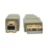 Cable USB 2.0 A a B Tripp Lite U022-006-BE 1,8 m beige
