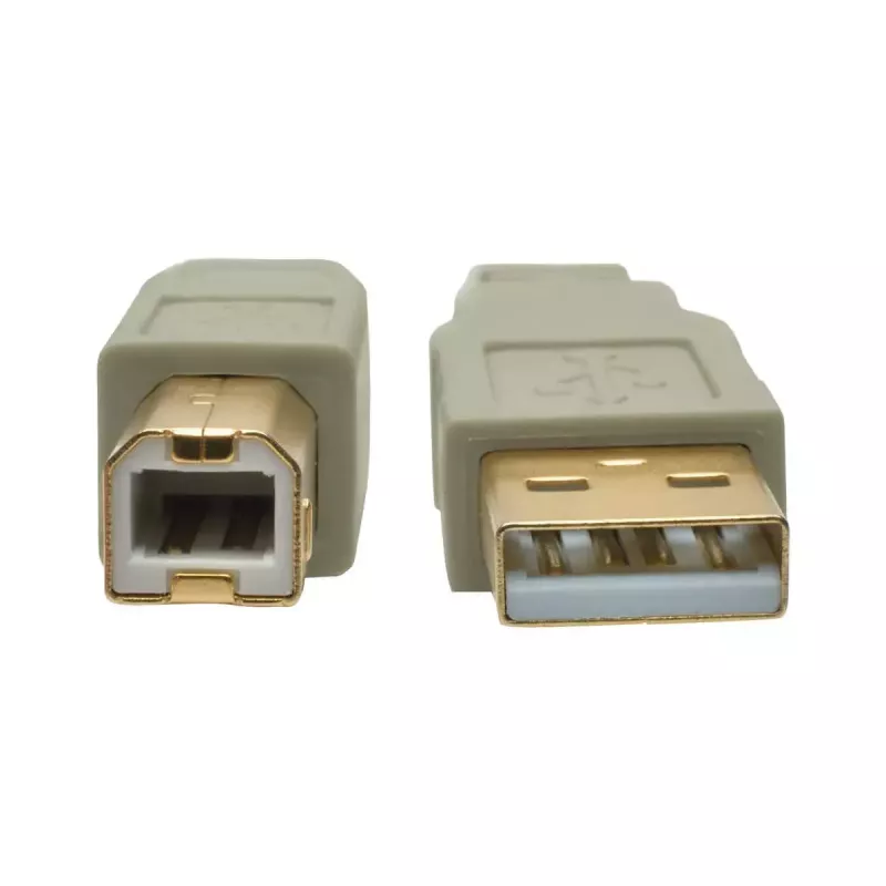 Cable USB 2.0 A a B Tripp Lite U022-006-BE 1,8 m beige