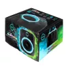 Nevera portátil Iceberg Thermal IceFLOE AURORA 0,355 L eléctrica negra