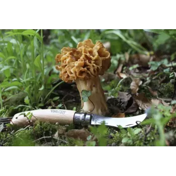 Navaja Opinel