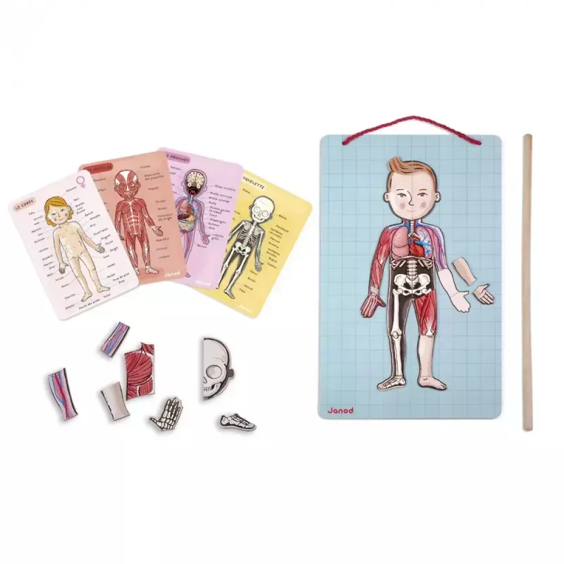 Juguete educativo Janod J05491 multicolor 7 a 12 años