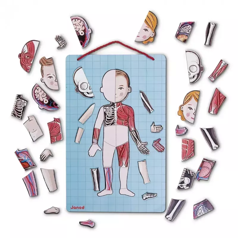 Juguete educativo Janod J05491 multicolor 7 a 12 años