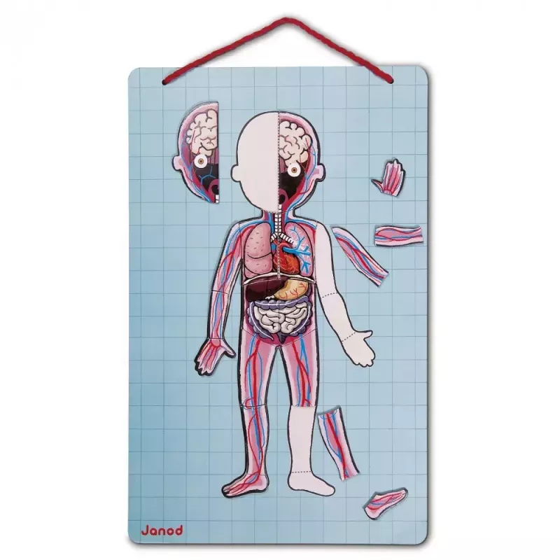 Juguete educativo Janod J05491 multicolor 7 a 12 años