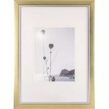 Marco de fotos Walther Beyond DIN A3 29,7×42 cm resina champagne/oro