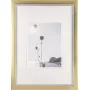 Marco de fotos Walther Beyond DIN A3 29,7×42 cm resina champagne/oro