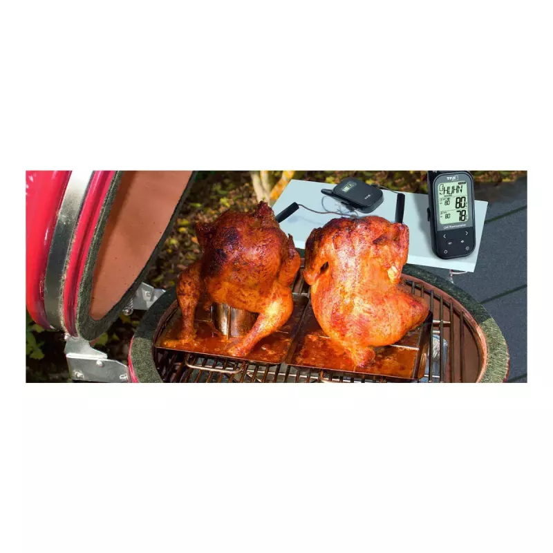 Termómetro alimentario TFA-Dostmann KÜCHEN-CHEF TWIN 0 - 300 °C digital