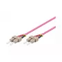Cable de fibra óptica Alcasa 10m SC/SC