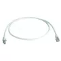 Cable de red Telegärtner MP8 FS500 LSZH 1 m