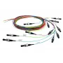 Cable InfiniBand/fibra óptica Telegärtner 2 m 12x LC multicolor