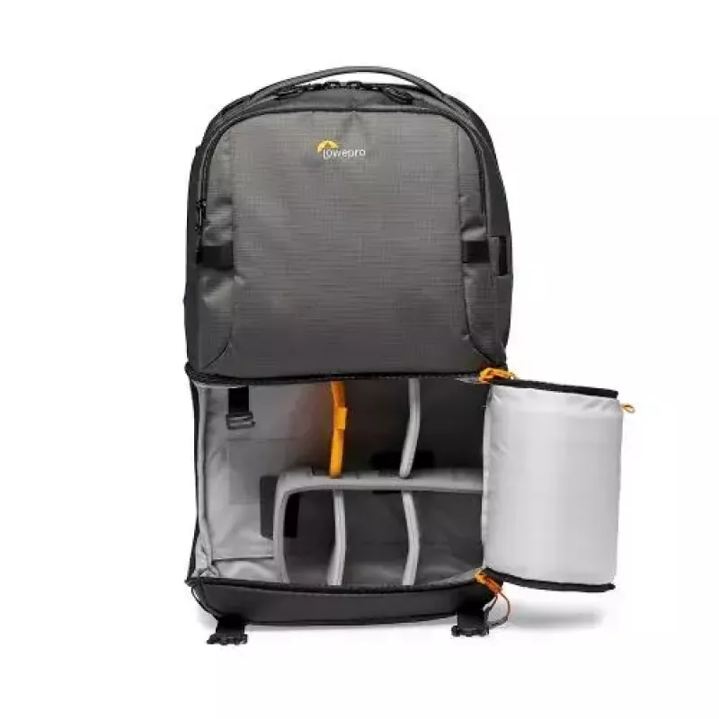 Mochila Lowepro Fastpack BP 250 AW III gris