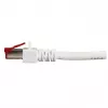 Cable de red EFB Elektronik K5518.25 RJ-45 Cat6 25 m blanco
