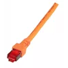 Cable de red EFB Elektronik K5516.50 RJ-45 Cat6 50 m naranja