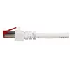 Cable de red EFB Elektronik K5518.50 RJ-45 Cat6 50 m blanco