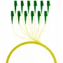 EFB Elektronik FTTH-PIGTAIL-LCA1 2 m LC/APC 6x LC OS2 cable de fibra óptica