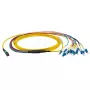 Cable de fibra óptica EFB Elektronik MTPF12LCOS2-2
