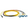 Cable de fibra óptica EFB Elektronik MTPF12LCOS2-3