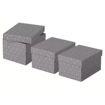 Caja de almacenamiento Esselte 628281 gris rectangular 200x255x150 mm