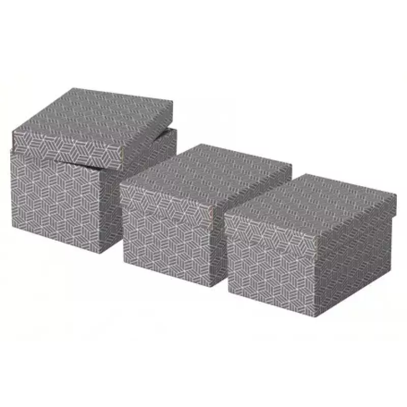 Caja de almacenamiento Esselte 628281 gris rectangular 200x255x150 mm