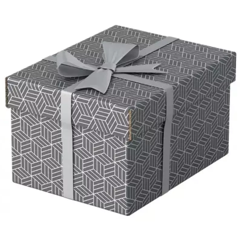 Caja de almacenamiento Esselte 628281 gris rectangular 200x255x150 mm