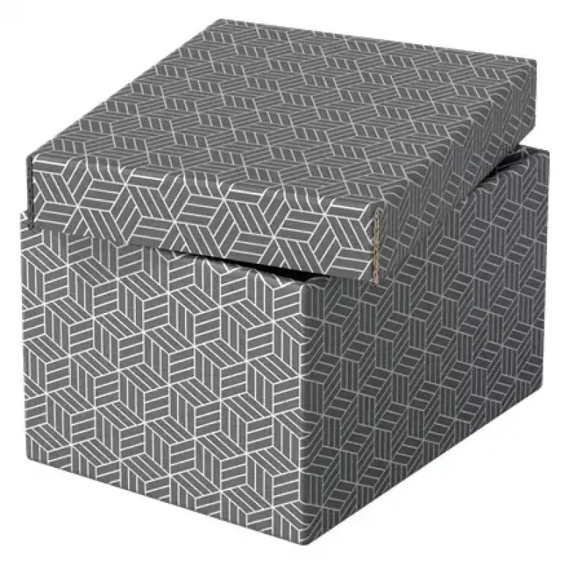 Caja de almacenamiento Esselte 628281 gris rectangular 200x255x150 mm